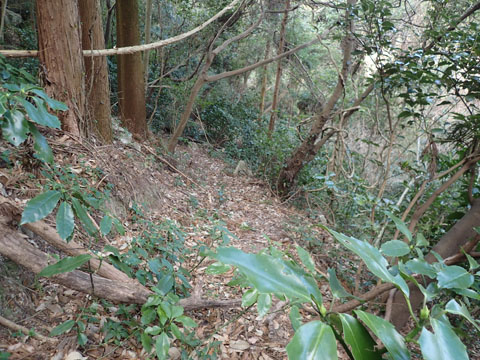 e0293913_1737456.jpg
