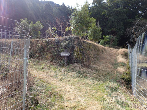 e0293913_1785195.jpg