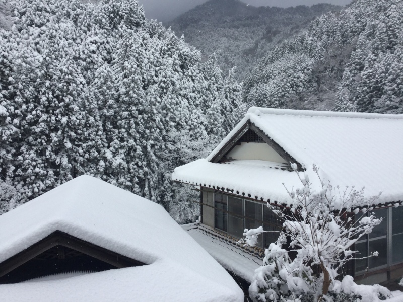 新婚旅行の話② 京都で会ったまさる氏のご友人_b0364814_13021616.jpg