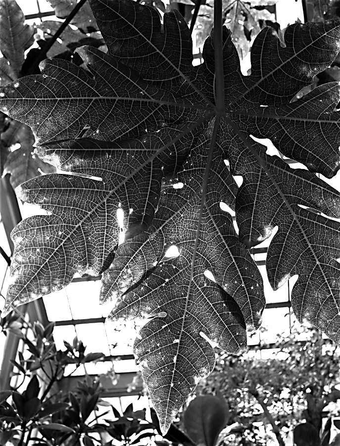 c0082715_12292413.jpg