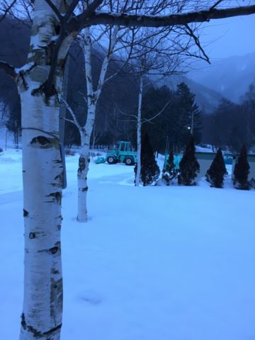 c0114121_094995.jpg