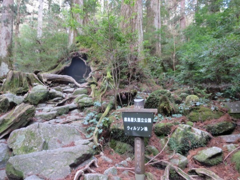 f0149422_14121619.jpg