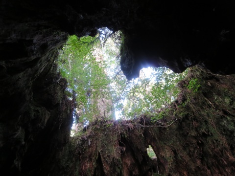 f0149422_14122712.jpg