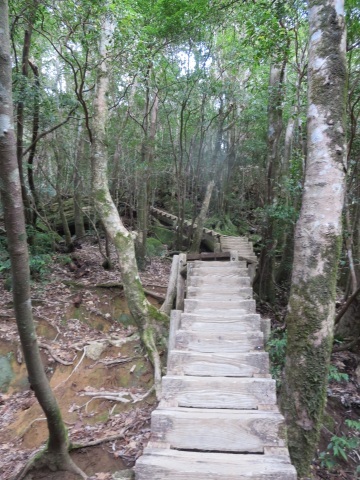 f0149422_14123944.jpg