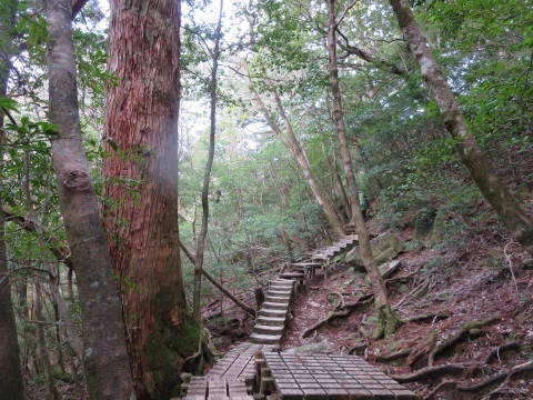 f0149422_14125404.jpg