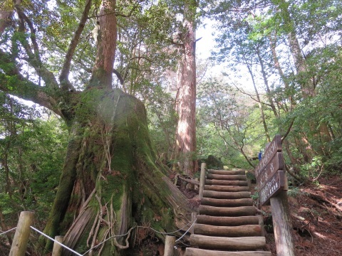 f0149422_14133282.jpg
