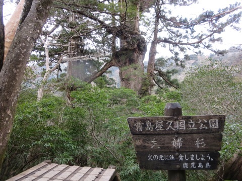 f0149422_14134818.jpg