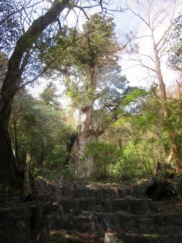 f0149422_14145148.jpg