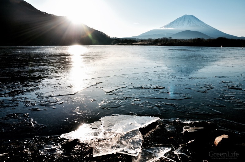 精進湖の朝_f0321522_11575179.jpg