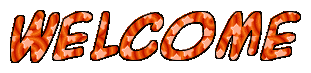 d0065324_019780.gif