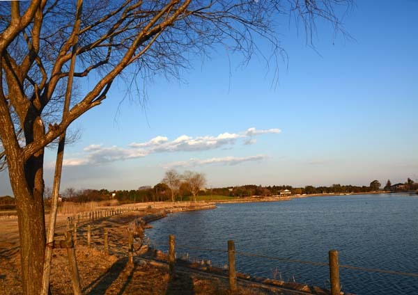 f0147025_20145596.jpg