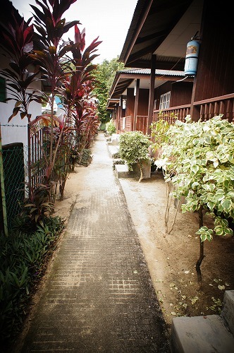 d0109335_11190234.jpg