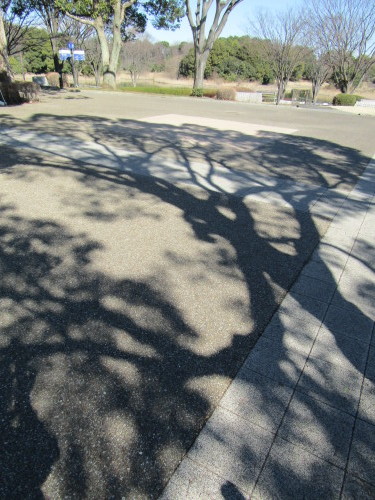 f0117041_06335718.jpg