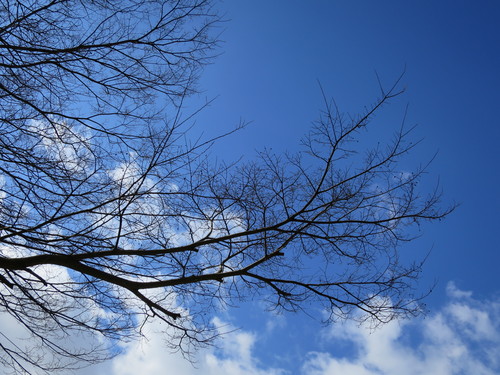 a0262342_21553.jpg