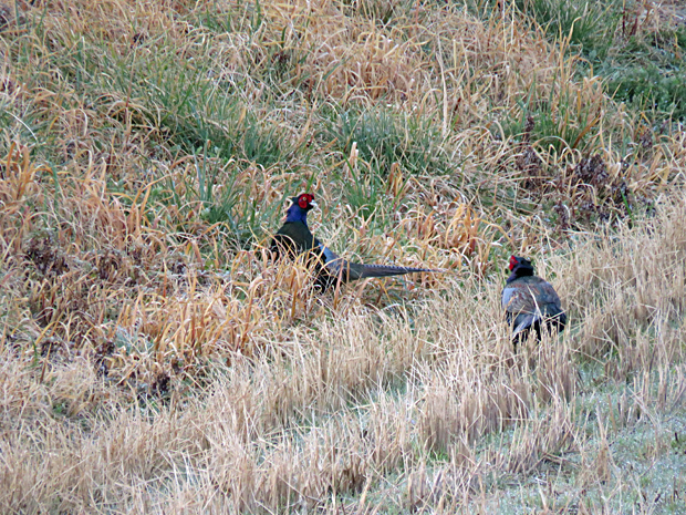 f0214649_03210404.jpg