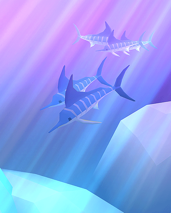 3月9日 Tap Tap Fish マカジキがかっこいい!_a0001354_20533126.gif