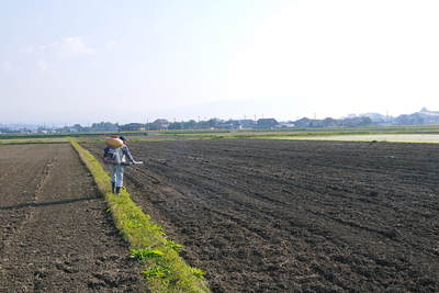 砂田米 熊本県菊池市七城町『砂田のこだわりれんげ米』 今年もれんげを有機肥料にして育てます!_a0254656_17143010.jpg
