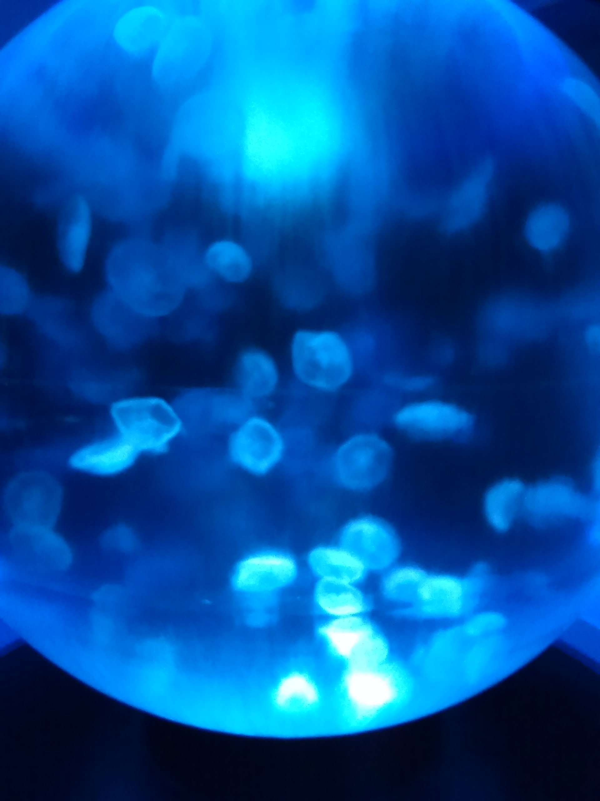 d0264557_15065128.jpg