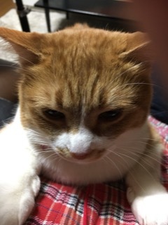 うまく焼けた日_f0363168_22203778.jpg