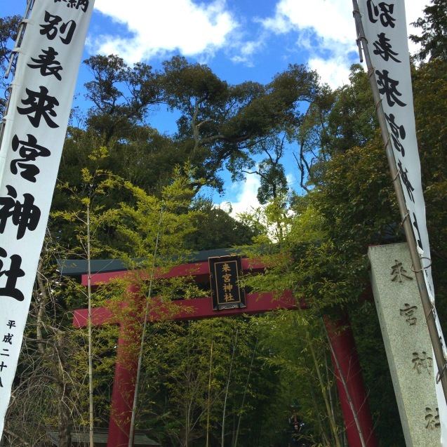 来宮神社_e0374269_20222880.jpg