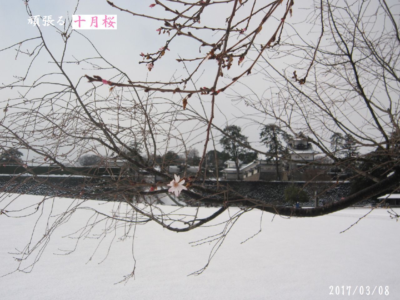 a0207574_16541876.jpg