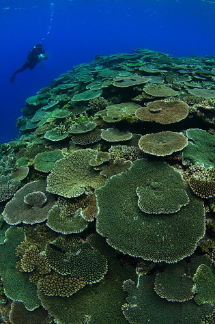 d0114375_00001035.jpg