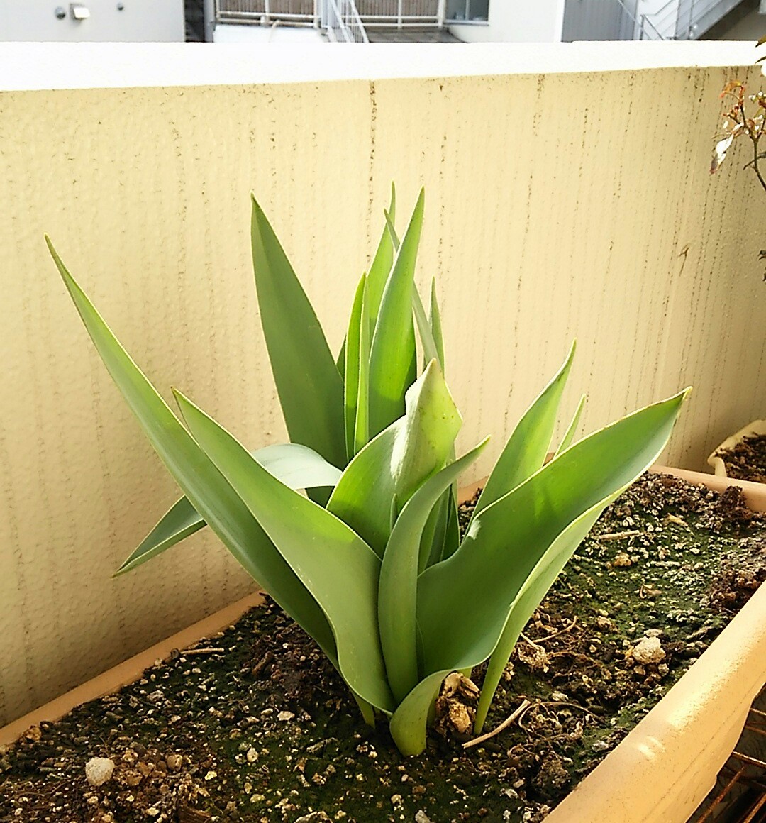 f0218886_14313190.jpg