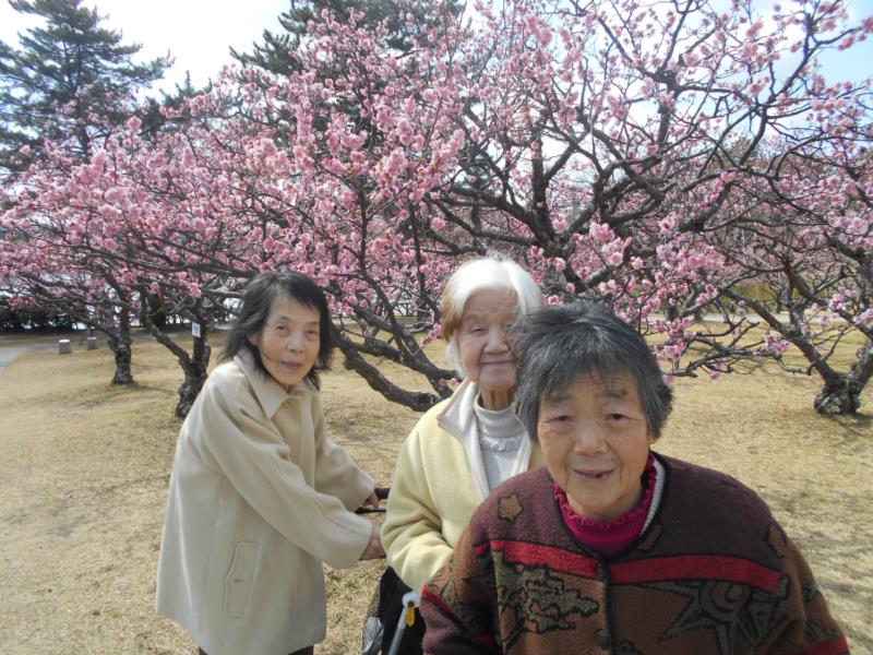 春めいてきましたね♫_f0220087_833478.jpg