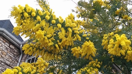 b0128589_17553180.jpg