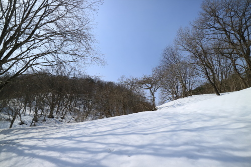 a0327600_00050607.jpg