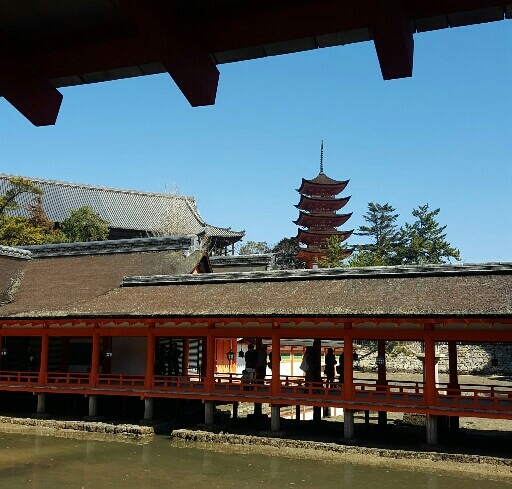 b0134408_16234451.jpg