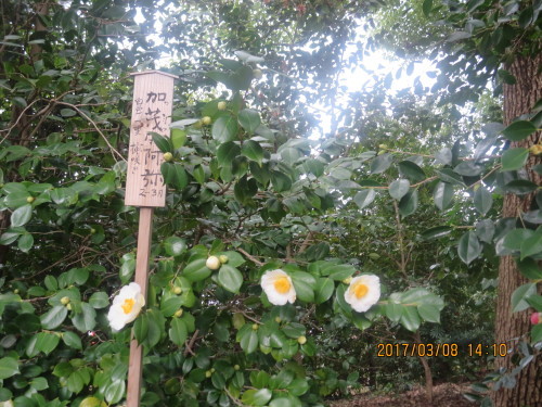 e0336009_00374649.jpg