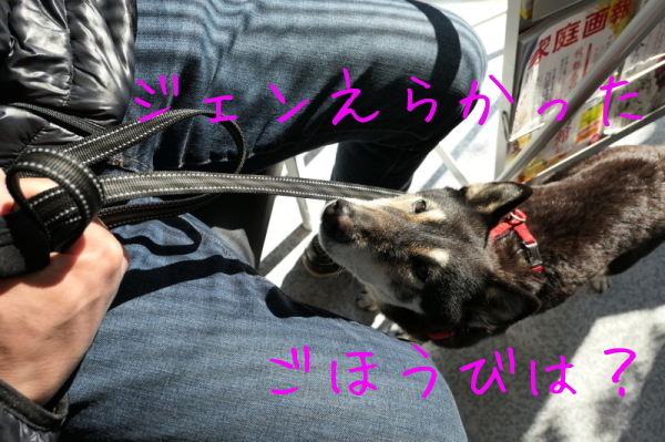 f0369014_14573467.jpg