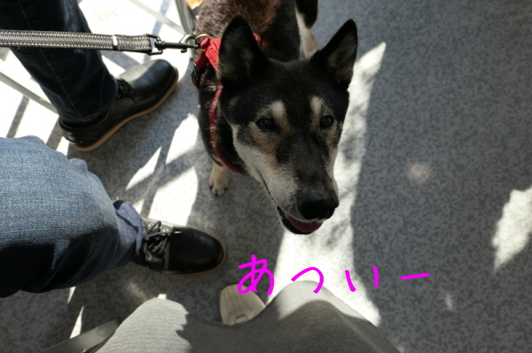 f0369014_14594129.jpg