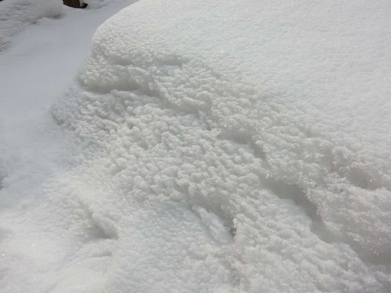 春へ_c0025115_21092872.jpg