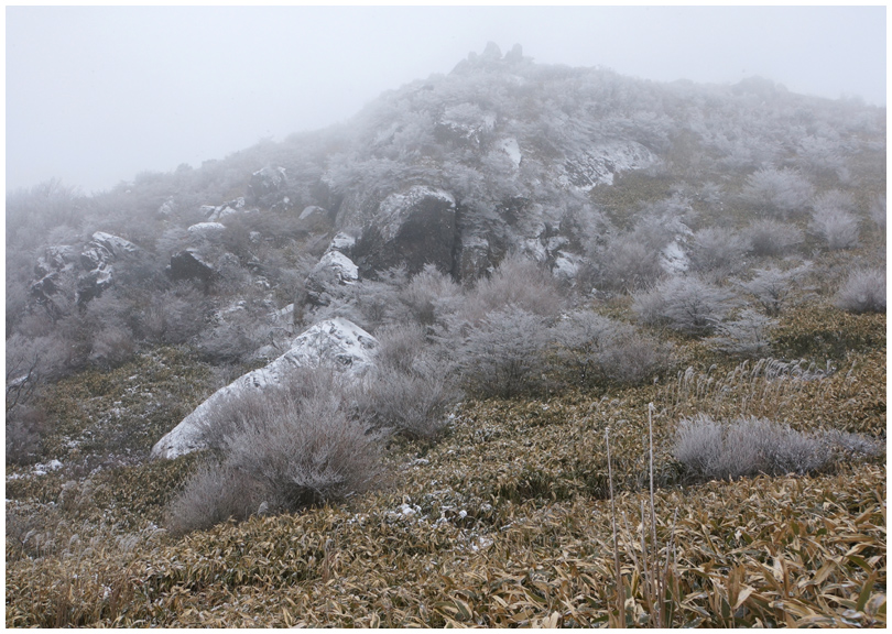 雪の福智山_b0037717_23415598.jpg