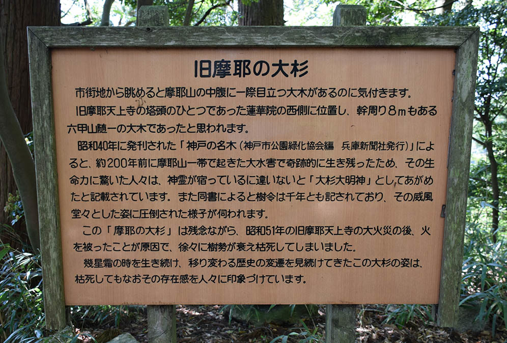 太平記を歩く。　その２９　「摩耶山城跡」　神戸市北区_e0158128_20423402.jpg