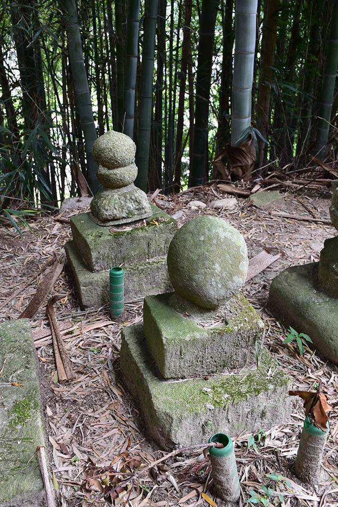 太平記を歩く。 その34 「唐櫃城跡(専念寺)」 神戸市北区_e0158128_22112812.jpg