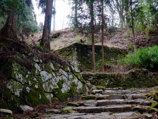 「岐阜・恵那市岩村 もうひとりの女城主がいた岩村城」_a0000029_1650196.jpg