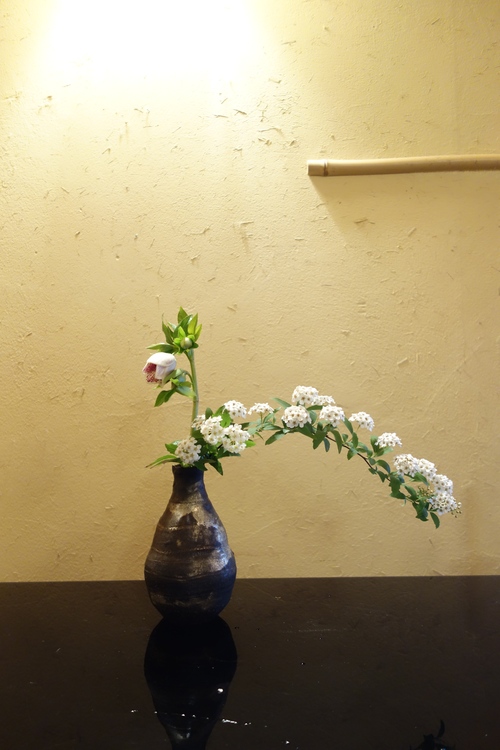春の日常花_a0197730_1132231.jpg