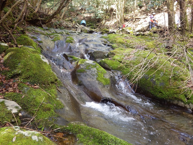e0164643_1621520.jpg