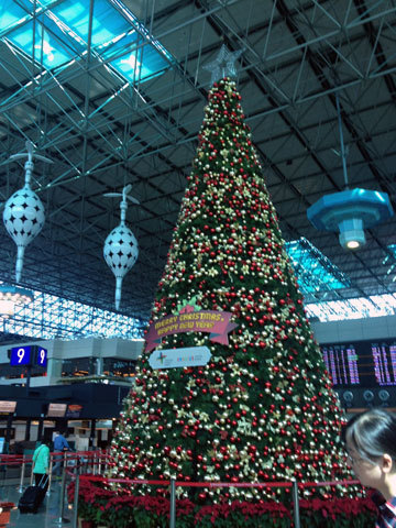 f0247849_23172489.jpg
