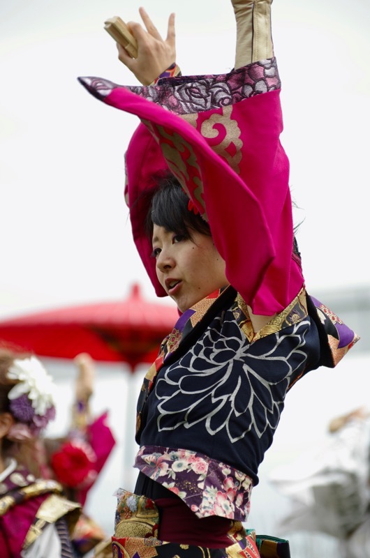 ２０１６第1回YOSAKOI高松祭りその８（月下桜舞連）_a0009554_22422493.jpg