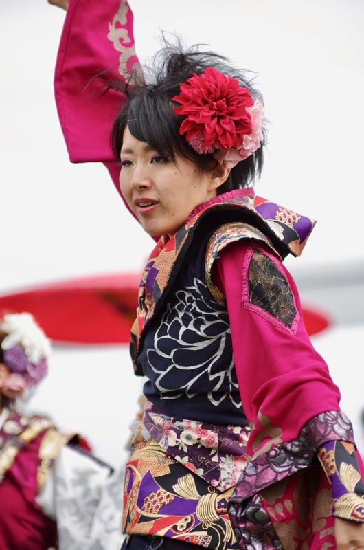 ２０１６第1回YOSAKOI高松祭りその８（月下桜舞連）_a0009554_22422828.jpg