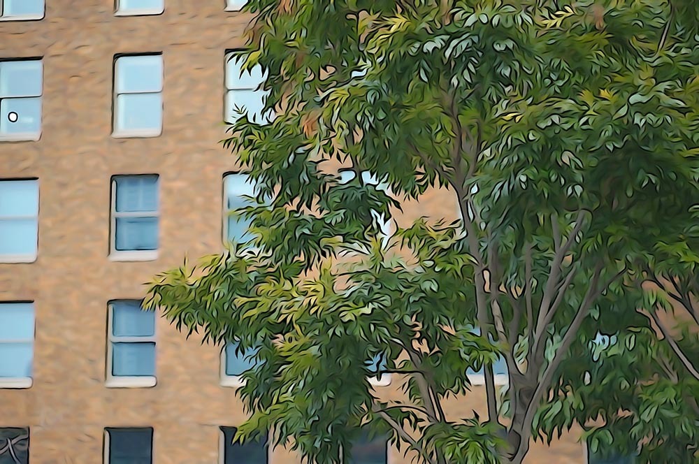 e0019563_10191788.jpg