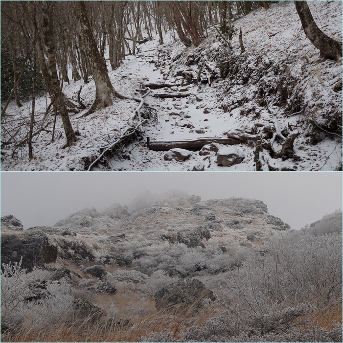 名残雪の由布岳へ・・・春の妖精達を訪ねて。_f0016066_5343196.jpg