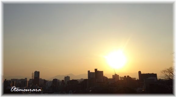 a0287486_9203047.jpg
