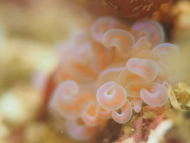 f0151886_1615277.jpg