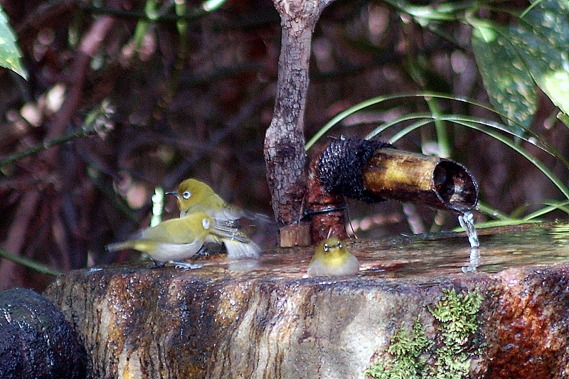 c0057390_2237517.jpg
