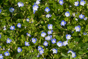 d0001300_1226232.jpg